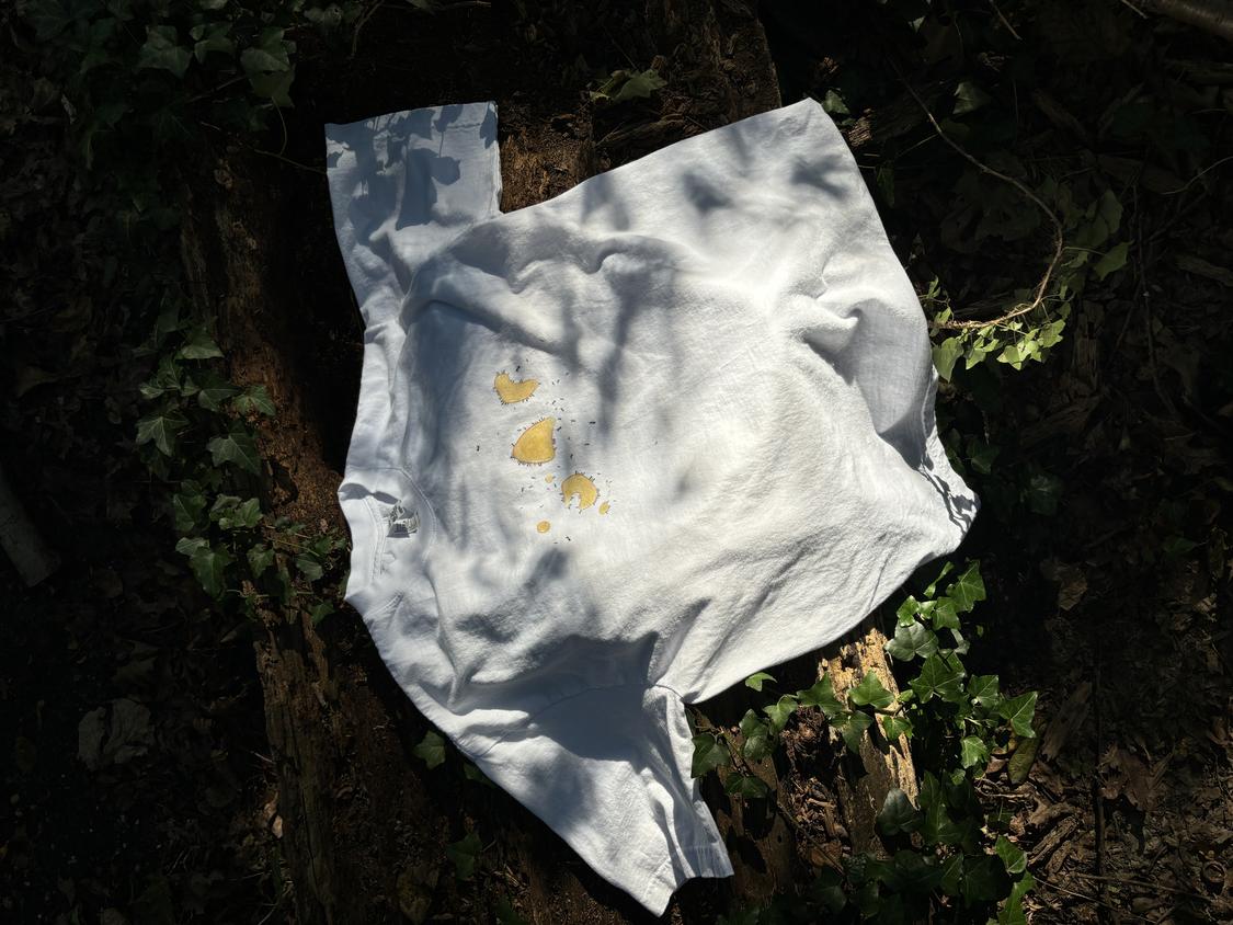 Honey T-Shirt Detail